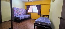 Blk 221 Kovan Green (Hougang), HDB Executive #536351221